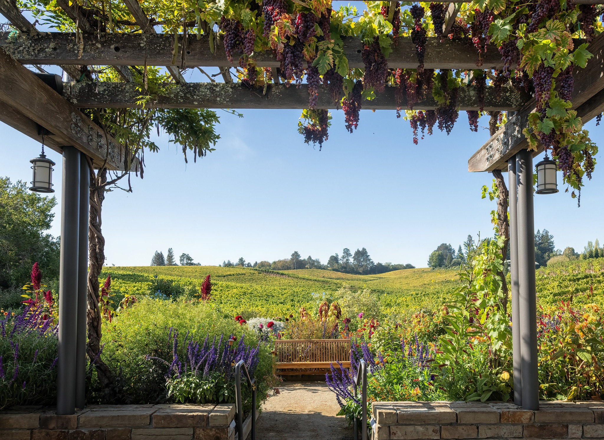 Beautiful Sonoma Wineries to Visit: Lynmar Estate - The Wine Daily